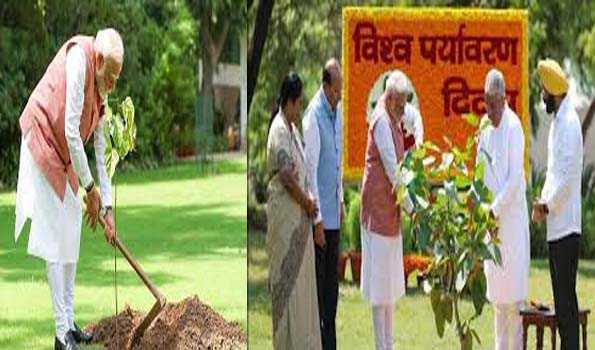 अरावली ग्रीन वॉल परियोजना की शुरुआत कर मोदी ने लगाया सिंदूर का पौधा