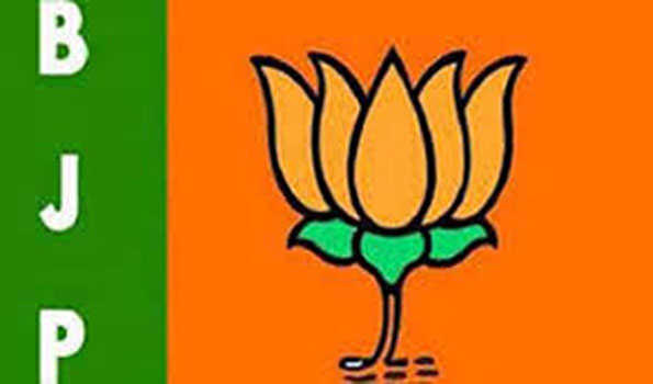 भाजपा विधि प्रकोष्ठ व चुनाव प्रकोष्ठ में बिंदल का मिला मार्गदर्शन