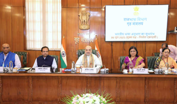 भारतीय भाषाओं के विकास के लिए बना अलग अनुभाग: शाह