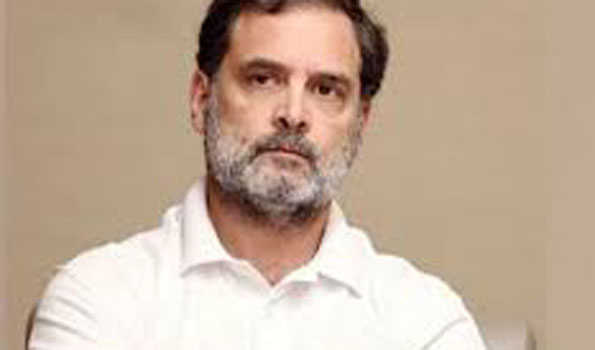 बिहार में रोजगार मेले में उमड़ी भीड़ पर राहुल का सरकार पर हमला