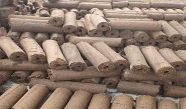 होलिका दहन के लिए दो सौ टन गो काष्ठ भेजी जायेगी गुजरात-गुप्ता