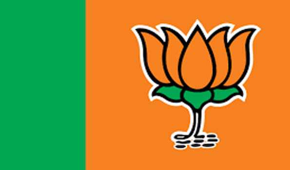जाति आधारित जनगणना के मुद्दे पर समाज में टकराव पैदा करने की राजनीति कर रही है कांग्रेस: भाजपा