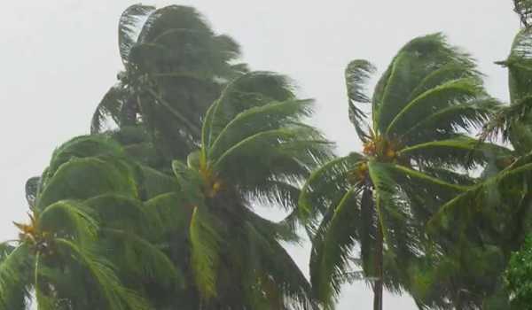 मेक्सिको में ओटिस तूफान से मरने वालों की संख्या बढ़कर 52 हुई