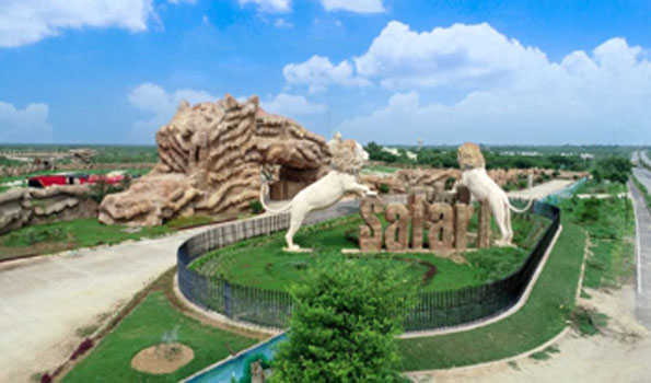 नए साल की पूर्व संध्या पर इटावा सफारी में शेरों का दीदार करने पहुंचे 1300 पर्यटक