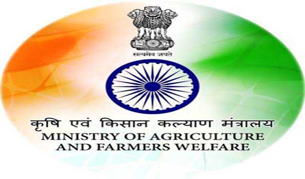 रबी फसल की बुवाई 655.88  लाख हेक्टेयर से अधिक