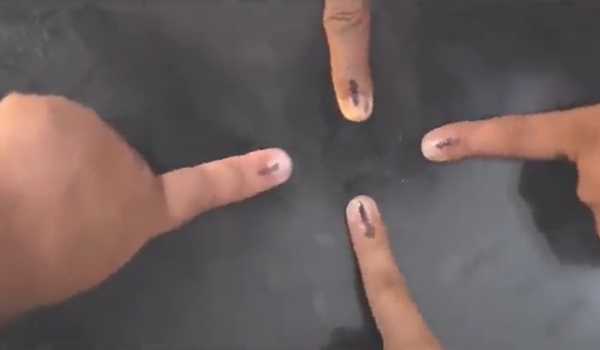 विधानसभा चुनाव में अंतिम दलीय स्थिति