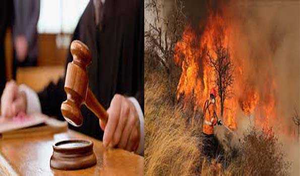 यूनान की अदालत ने माटी जंगल में फैली आग के लिए दस लोगों को दोषी करार दिया